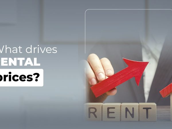 Today we show you what drives rental prices