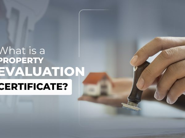 What is the elevation certificate of a property for?