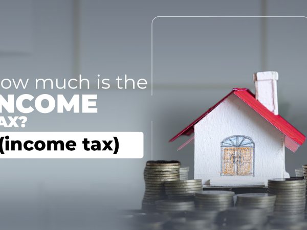 How much is the income tax?